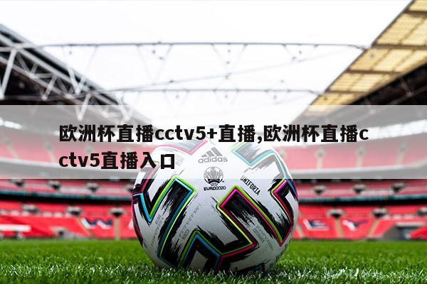 欧洲杯直播cctv5+直播,欧洲杯直播cctv5直播入口